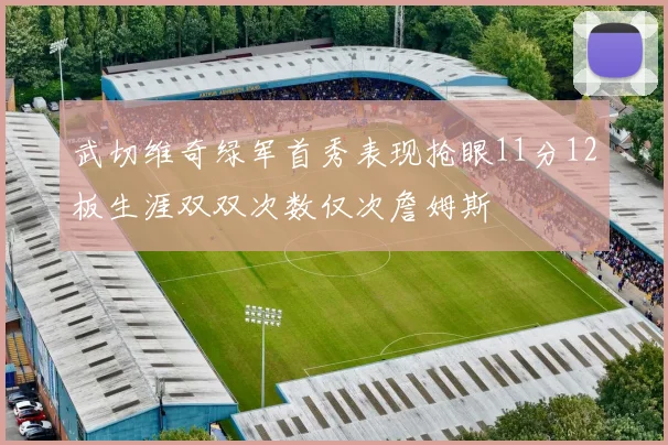 武切维奇绿军首秀表现抢眼11分12板生涯双双次数仅次詹姆斯