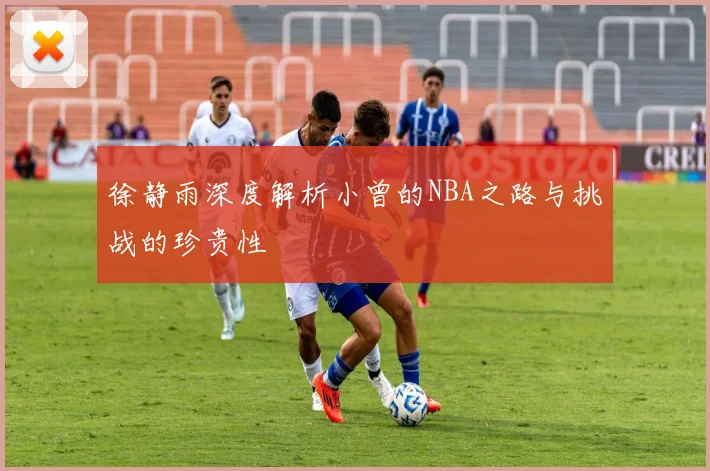 徐静雨深度解析小曾的NBA之路与挑战的珍贵性