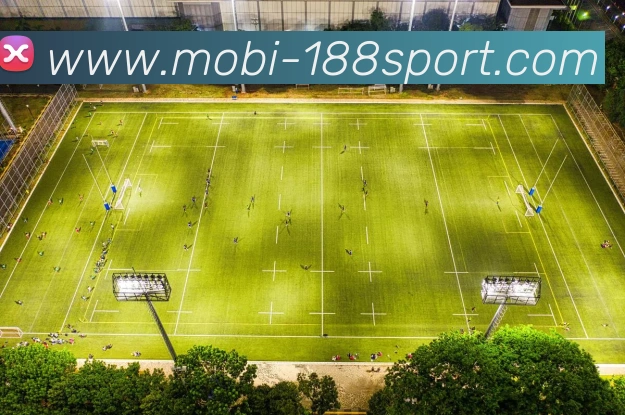 188体育平台生态图