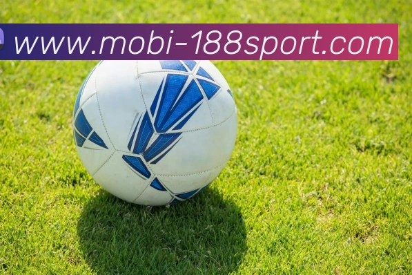 188体育APP 封面图